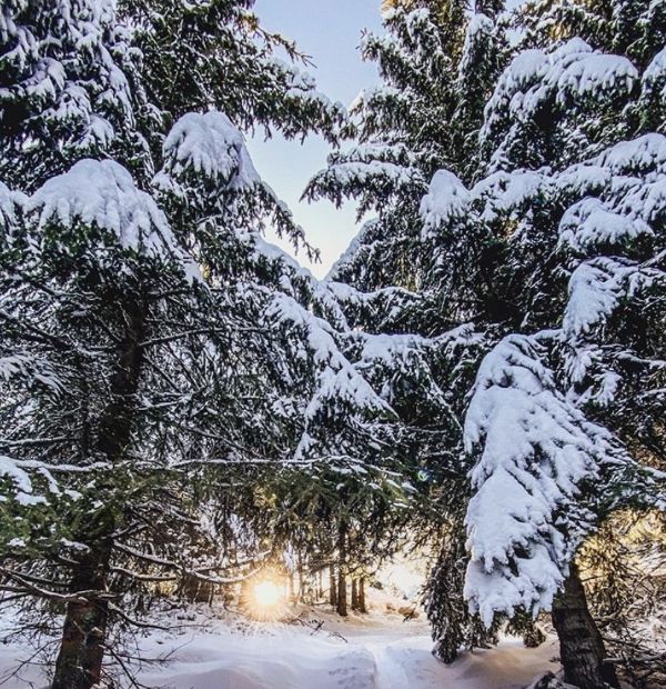 Paysage ski Cambre d'Aze