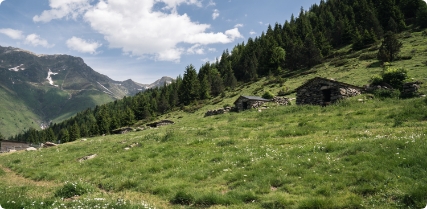 grand tourmalet