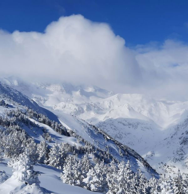 Phototèque de Cauterets